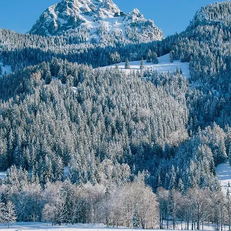 Domek alpejski No 12 Mit Privater Sauna