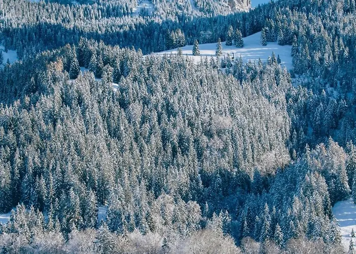 Σαλέ No 12 Mit Privater Sauna